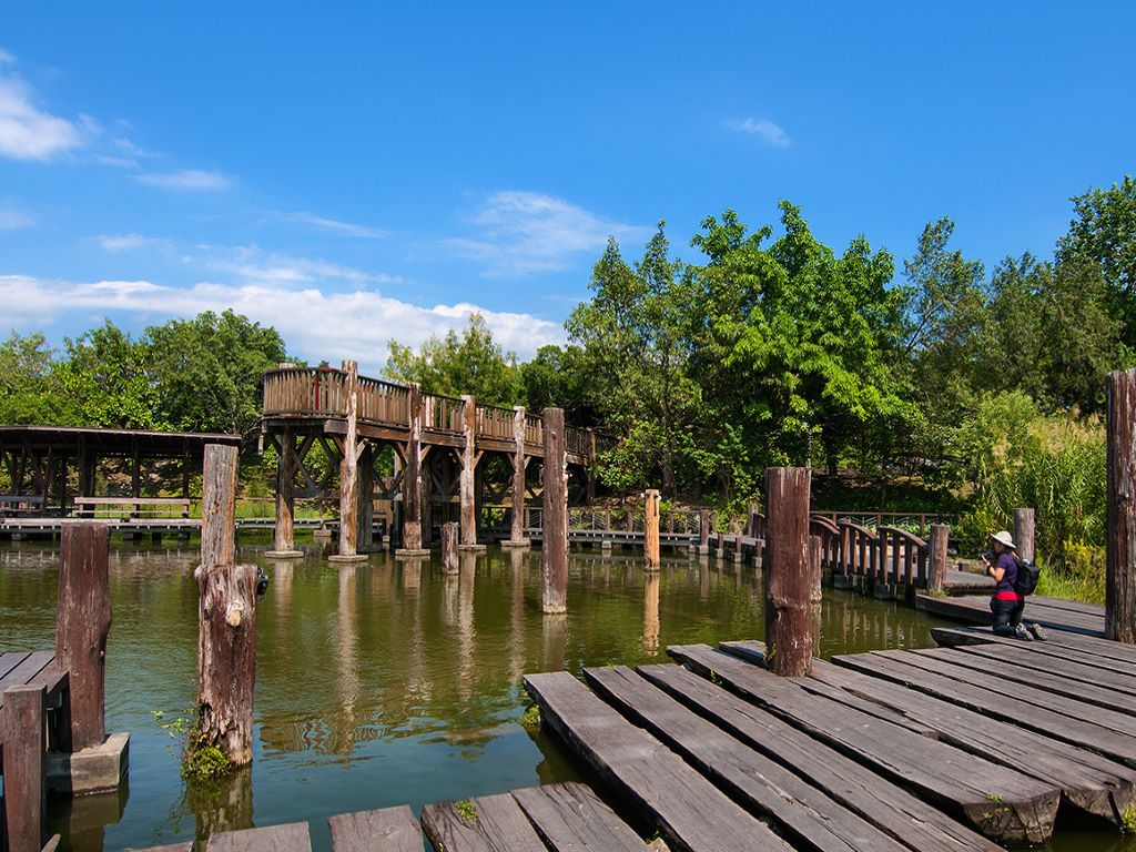 羅東運動公園實景一